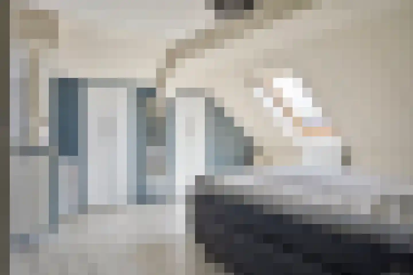 Smaragdboog 4 Terneuzen thumbnail 14