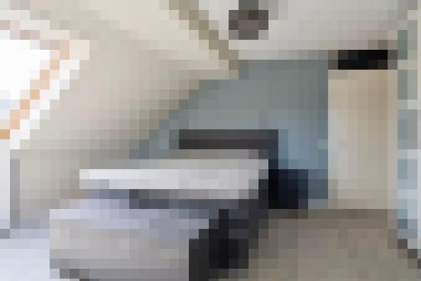 Smaragdboog 4 Terneuzen thumbnail 15