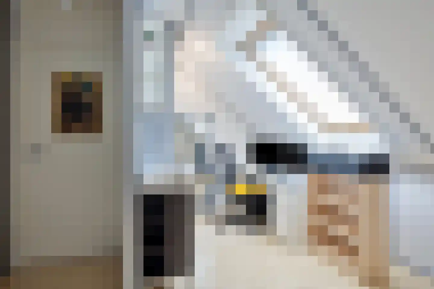 Smaragdboog 4 Terneuzen thumbnail 28