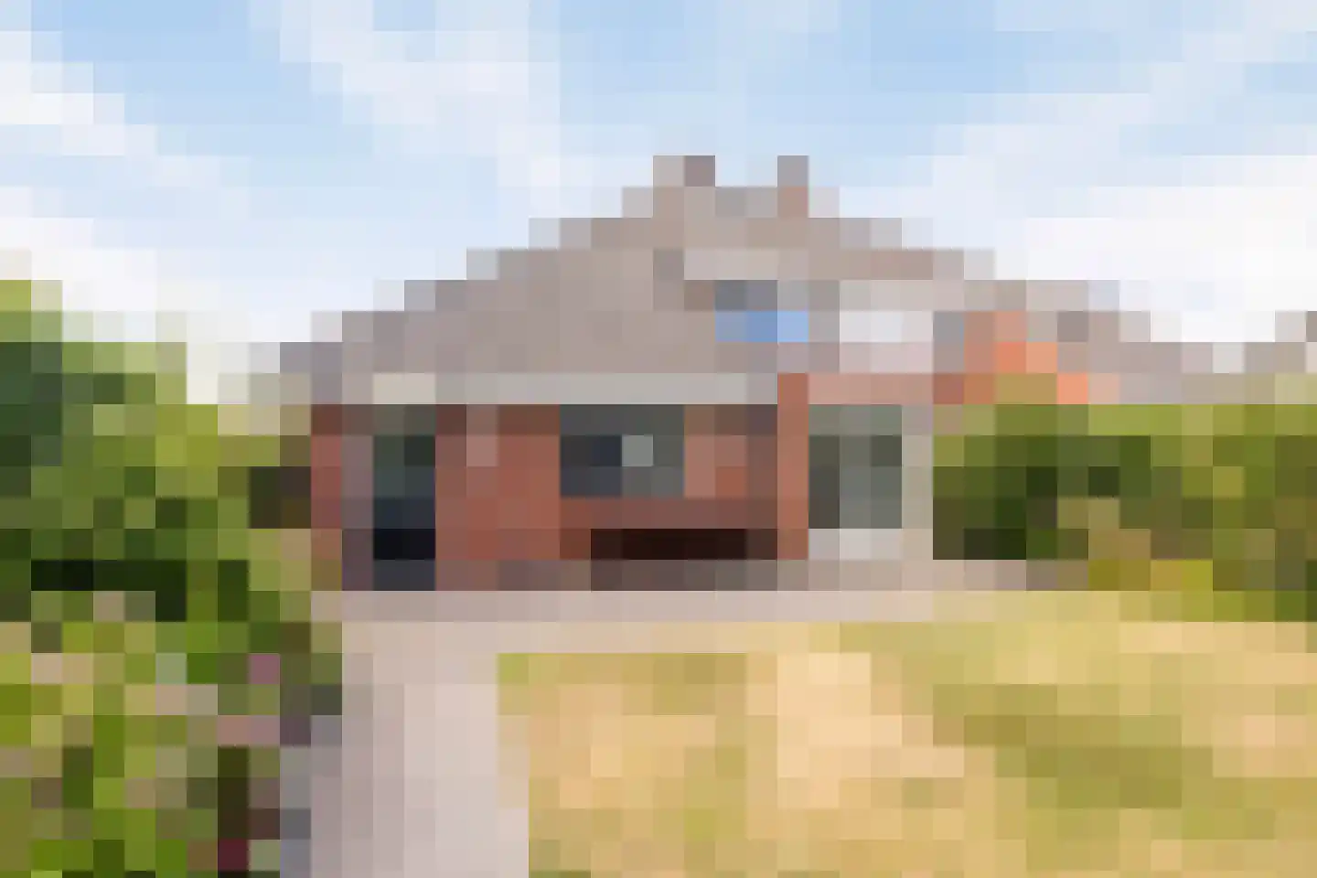 Smaragdboog 4 Terneuzen thumbnail 32