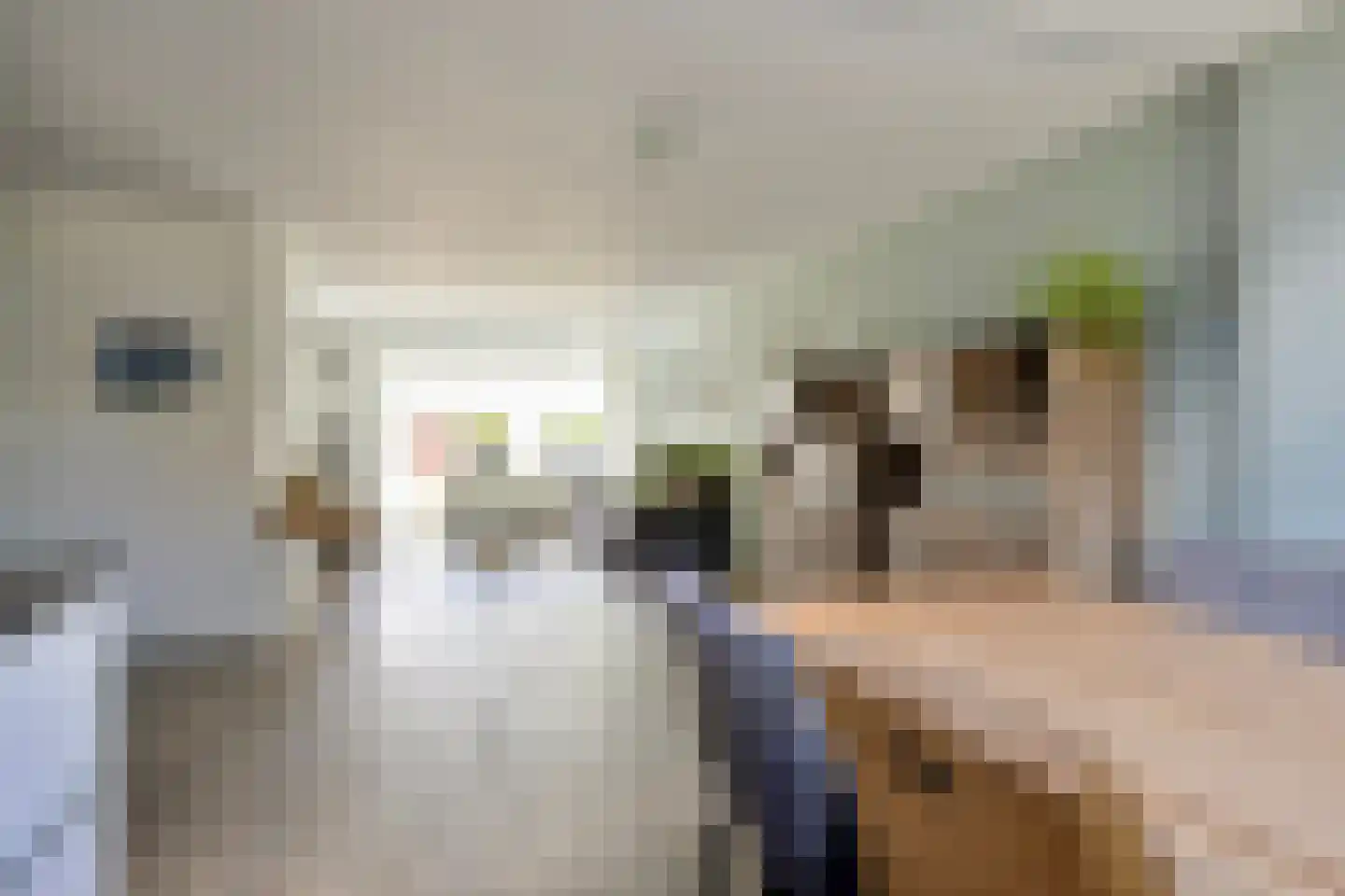 Smaragdboog 4 Terneuzen thumbnail 4