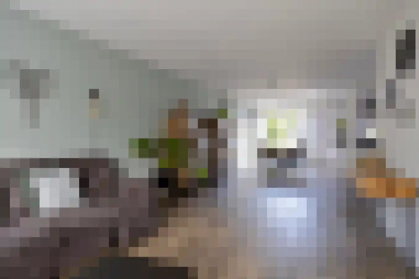 Smaragdboog 4 Terneuzen thumbnail 7