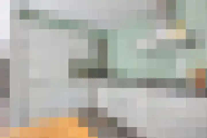 Smaragddijk 2 Roosendaal thumbnail 14
