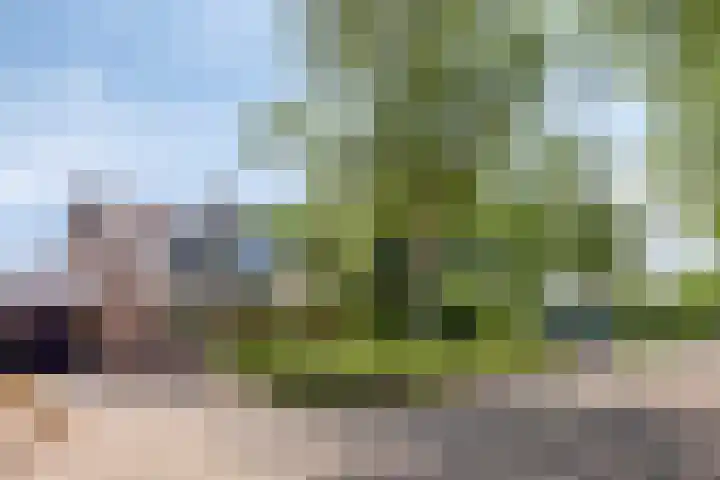 Smaragddijk 2 Roosendaal thumbnail 35