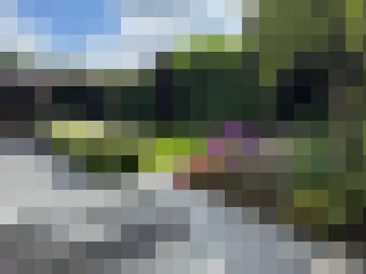 Smaragddijk 34 Roosendaal thumbnail 45