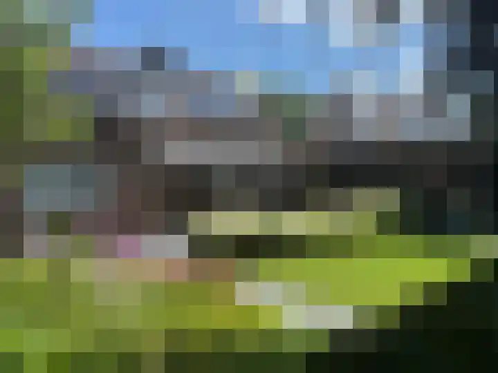 Smaragddijk 34 Roosendaal thumbnail 46