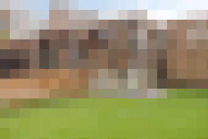 Smaragddijk 34 Roosendaal thumbnail 53