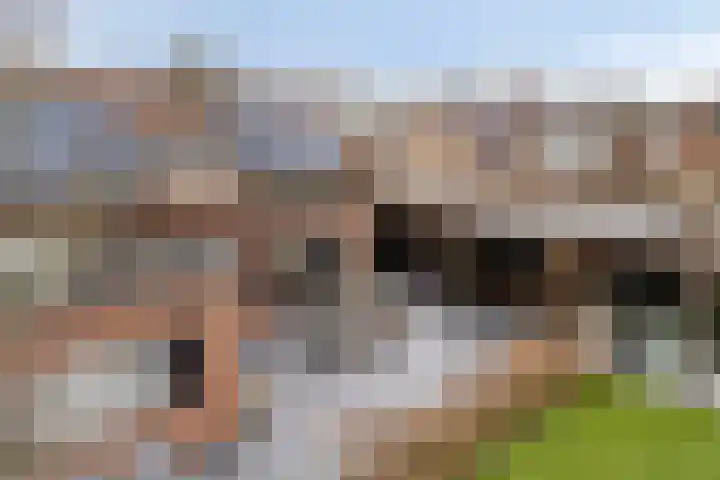 Smaragddijk 34 Roosendaal thumbnail 70