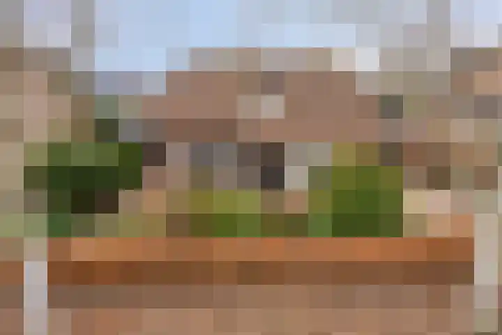 Smaragddijk 34 Roosendaal thumbnail 71