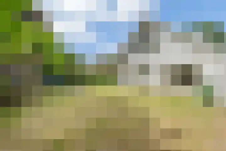 Smaragddijk 57 Roosendaal thumbnail 51