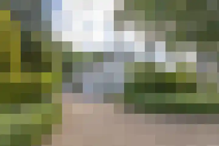 Smaragddijk 57 Roosendaal thumbnail 54
