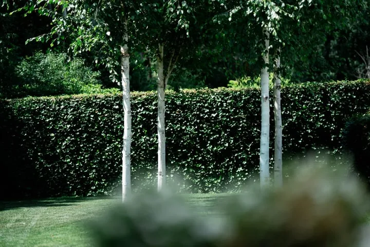 Smaragddijk 71 Roosendaal thumbnail 38
