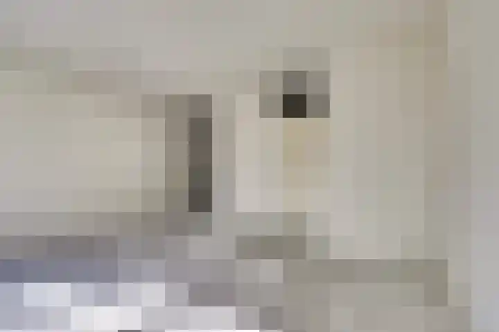Smaragddrift 1 Nieuwegein thumbnail 10
