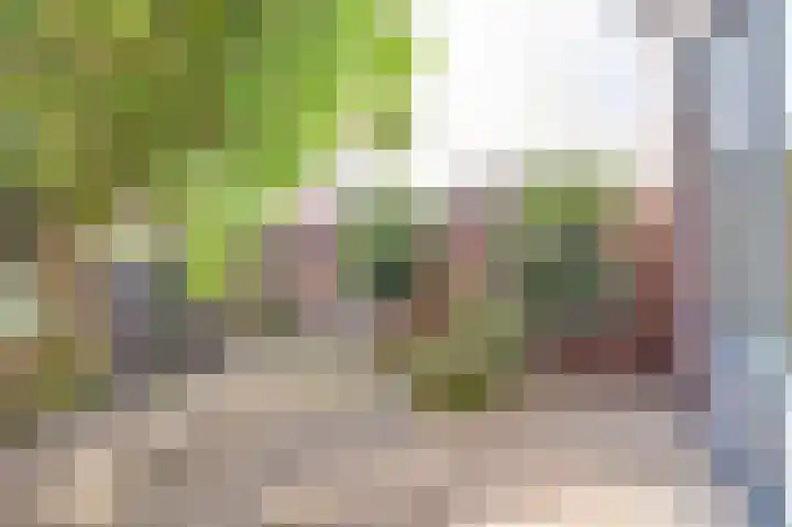 Smaragddrift 1 Nieuwegein thumbnail 11