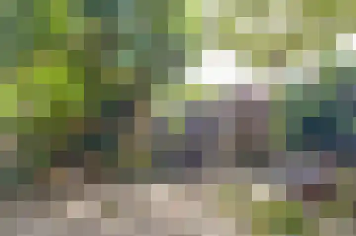 Smaragddrift 1 Nieuwegein thumbnail 12