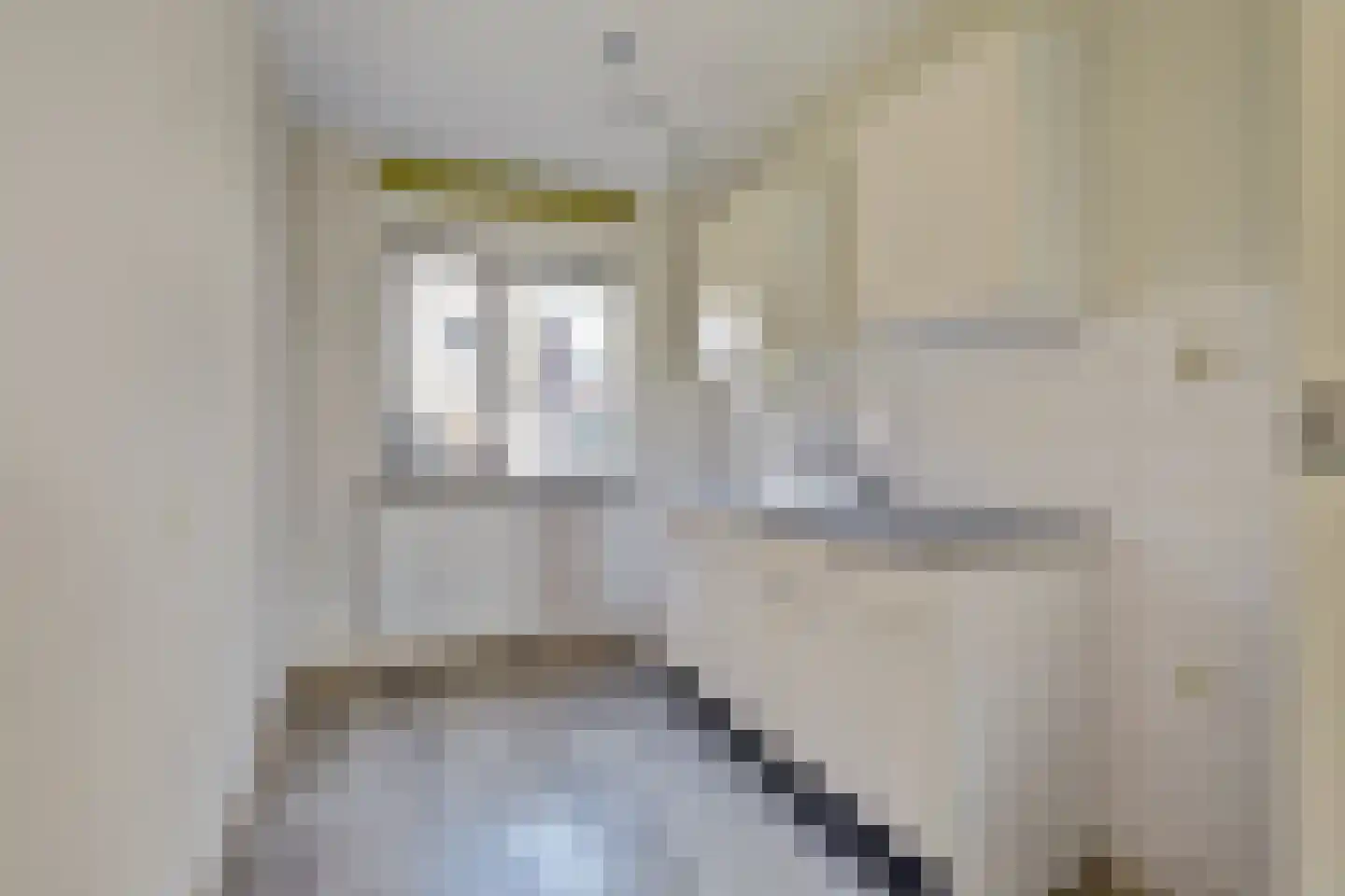 Smaragddrift 14 Nieuwegein thumbnail 12