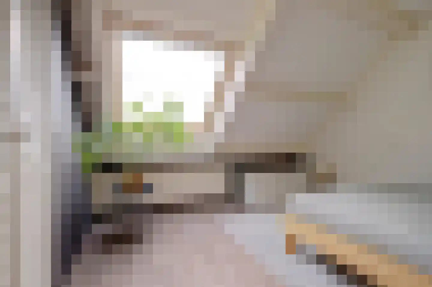 Smaragddrift 19 Nieuwegein thumbnail 17