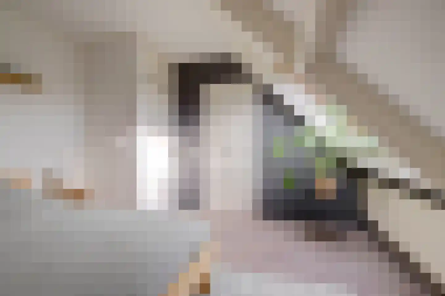 Smaragddrift 19 Nieuwegein thumbnail 18