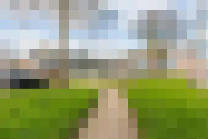 Smaragddrift 2 Nieuwegein thumbnail 27