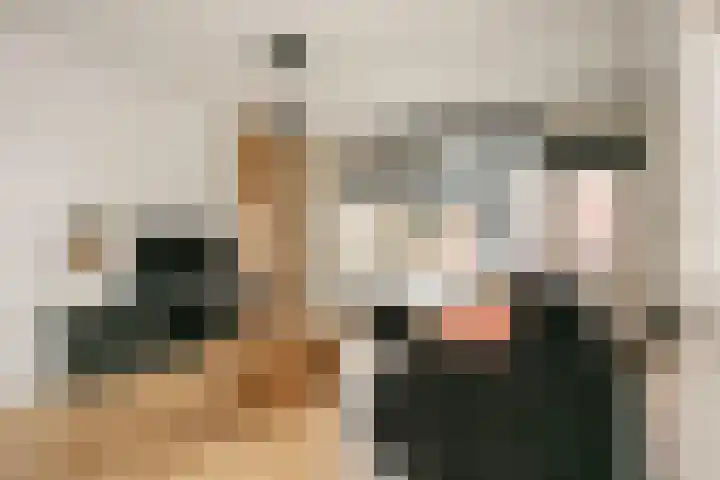 Smaragddrift 2 Nieuwegein thumbnail 4