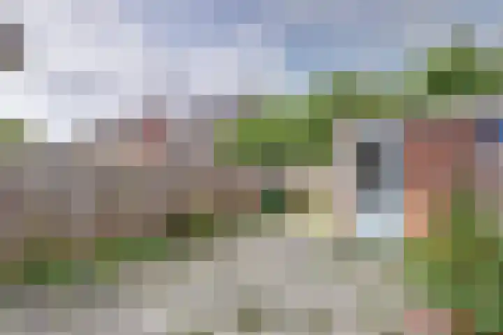 Smaragddrift 39 Nieuwegein thumbnail 21