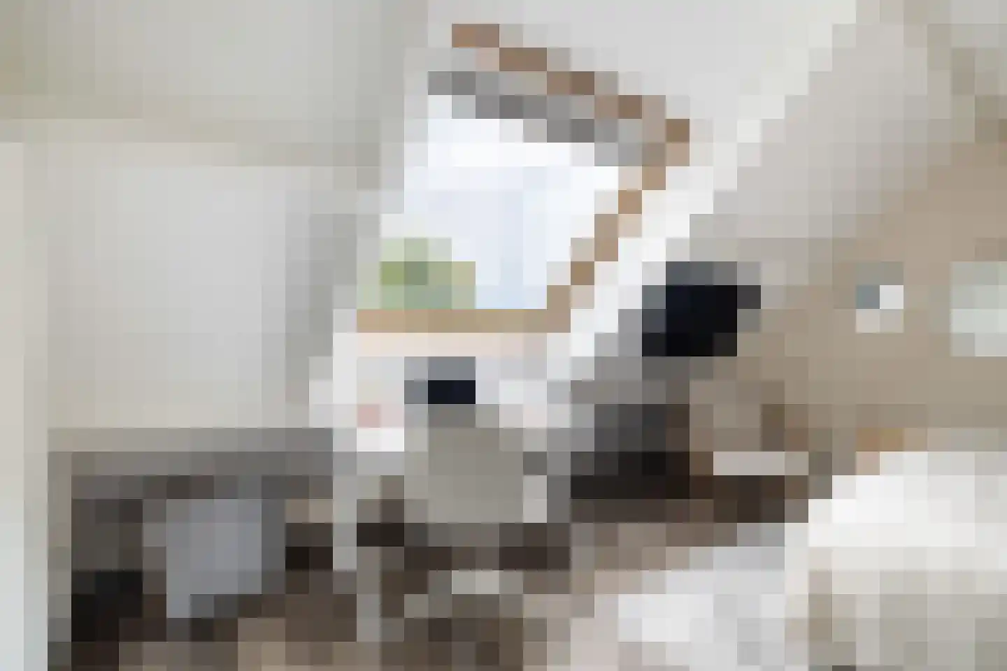 Smaragddrift 42 Nieuwegein thumbnail 18