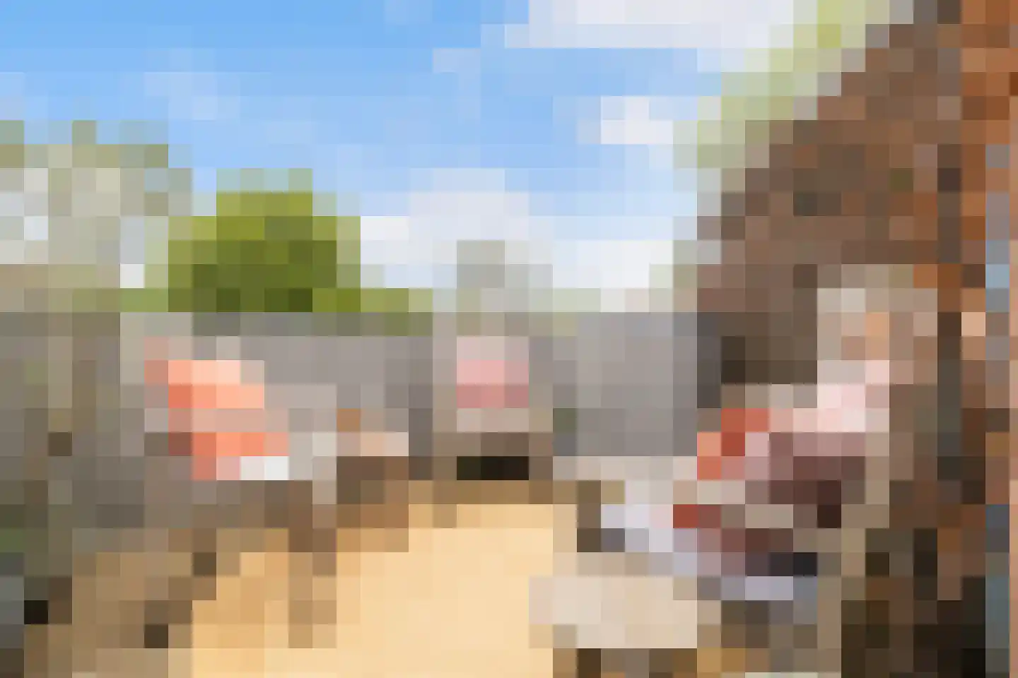 Smaragddrift 42 Nieuwegein thumbnail 23
