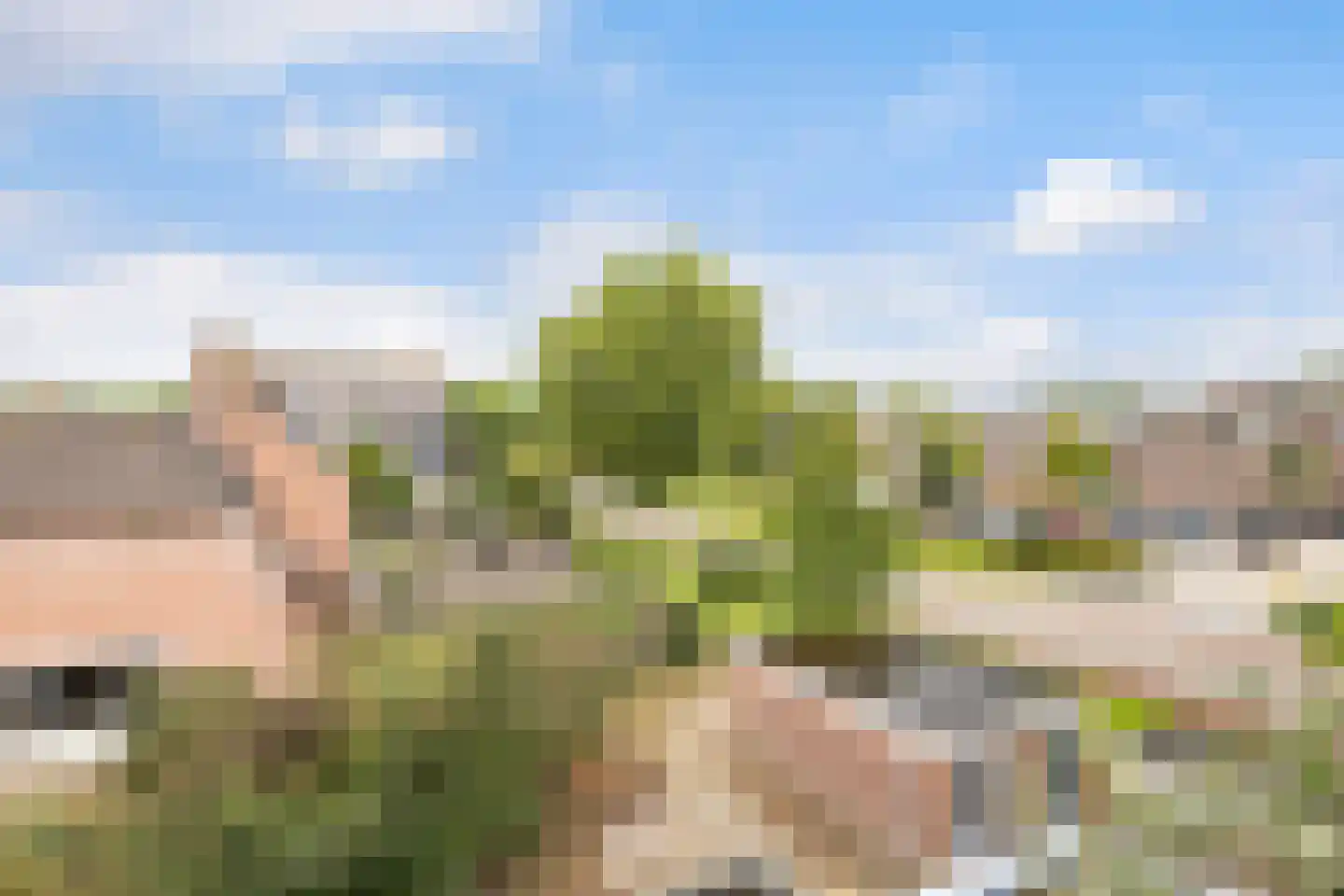 Smaragddrift 42 Nieuwegein thumbnail 26
