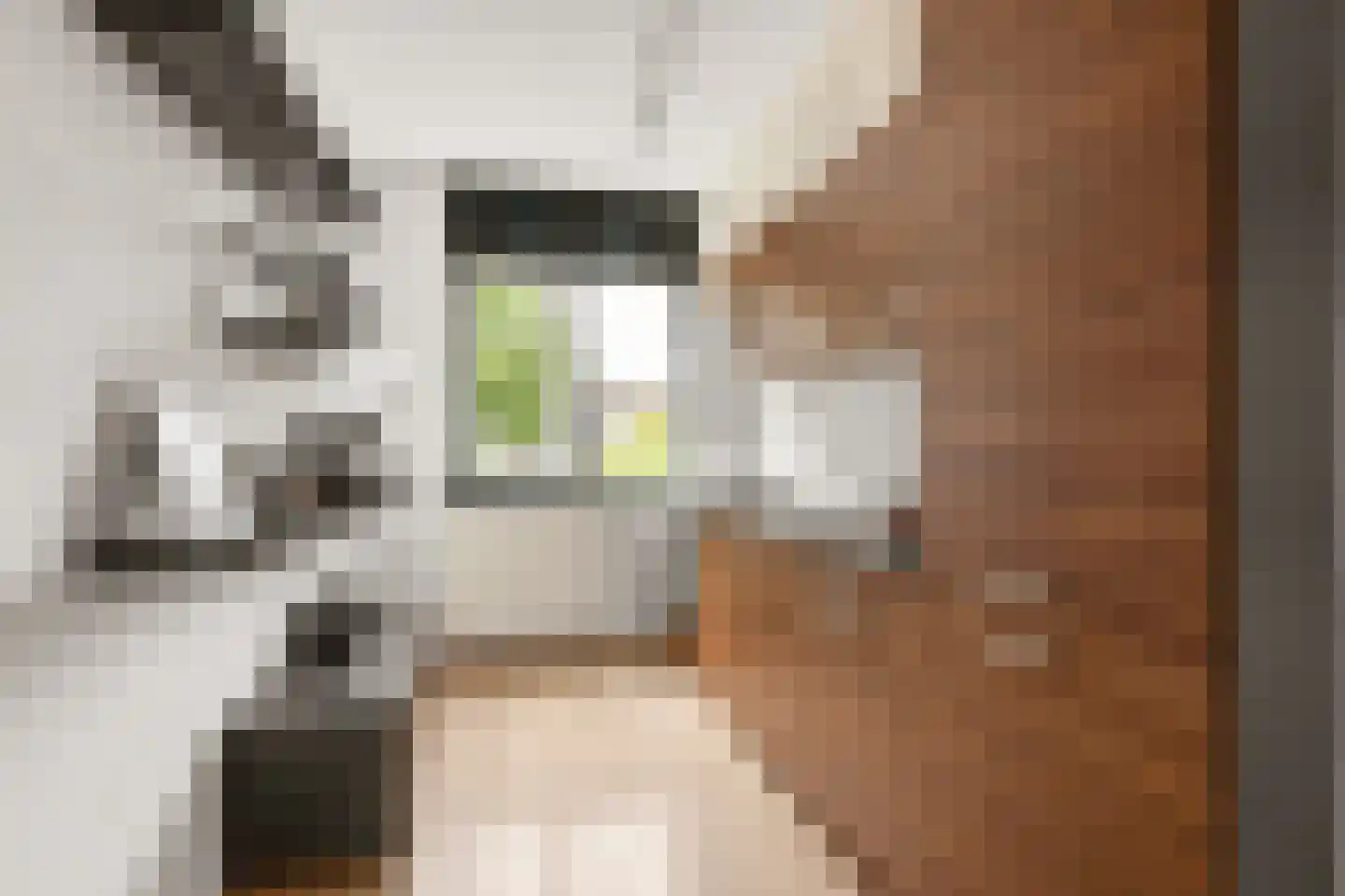 Smaragddrift 8 Nieuwegein thumbnail 8