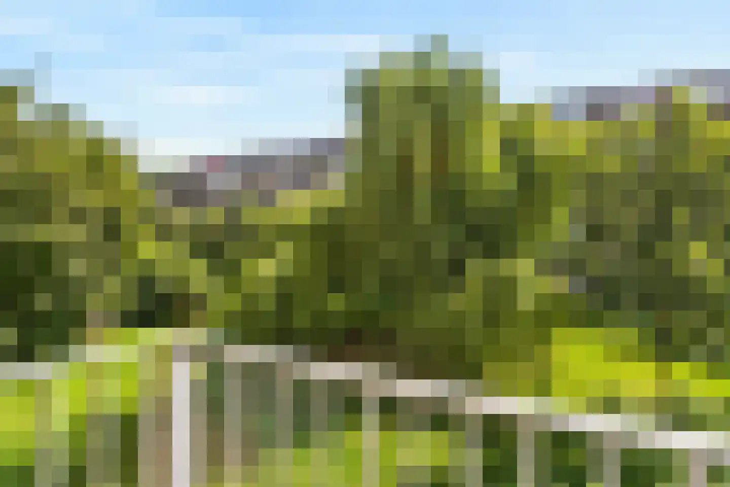 Smaragdhof 13 Utrecht thumbnail 10