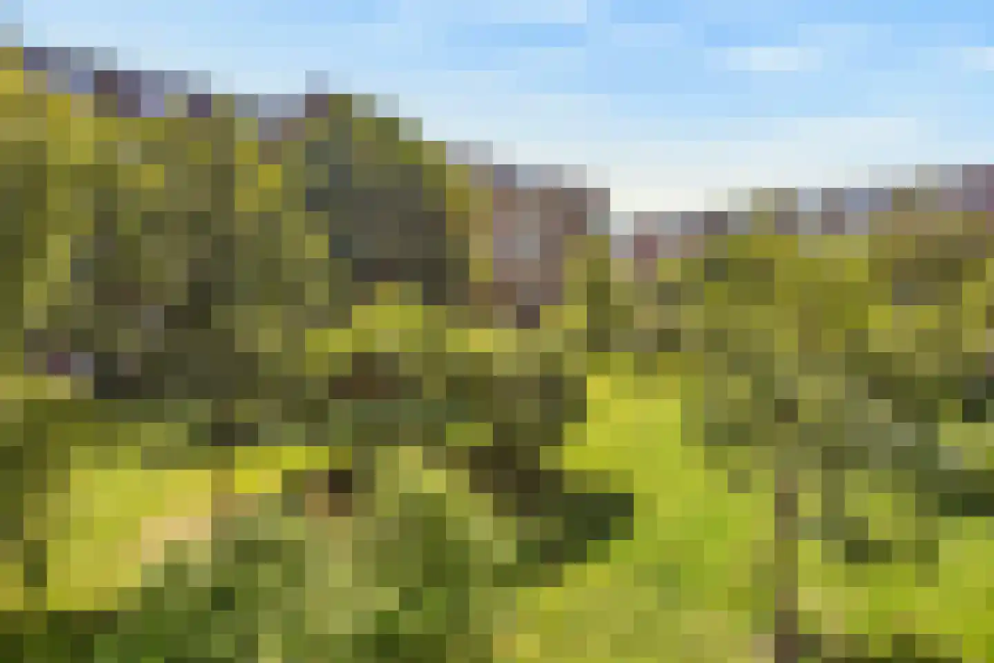 Smaragdhof 13 Utrecht thumbnail 11