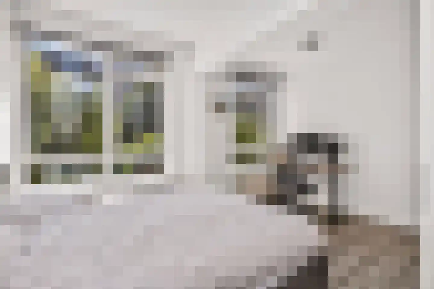 Smaragdhof 13 Utrecht thumbnail 17