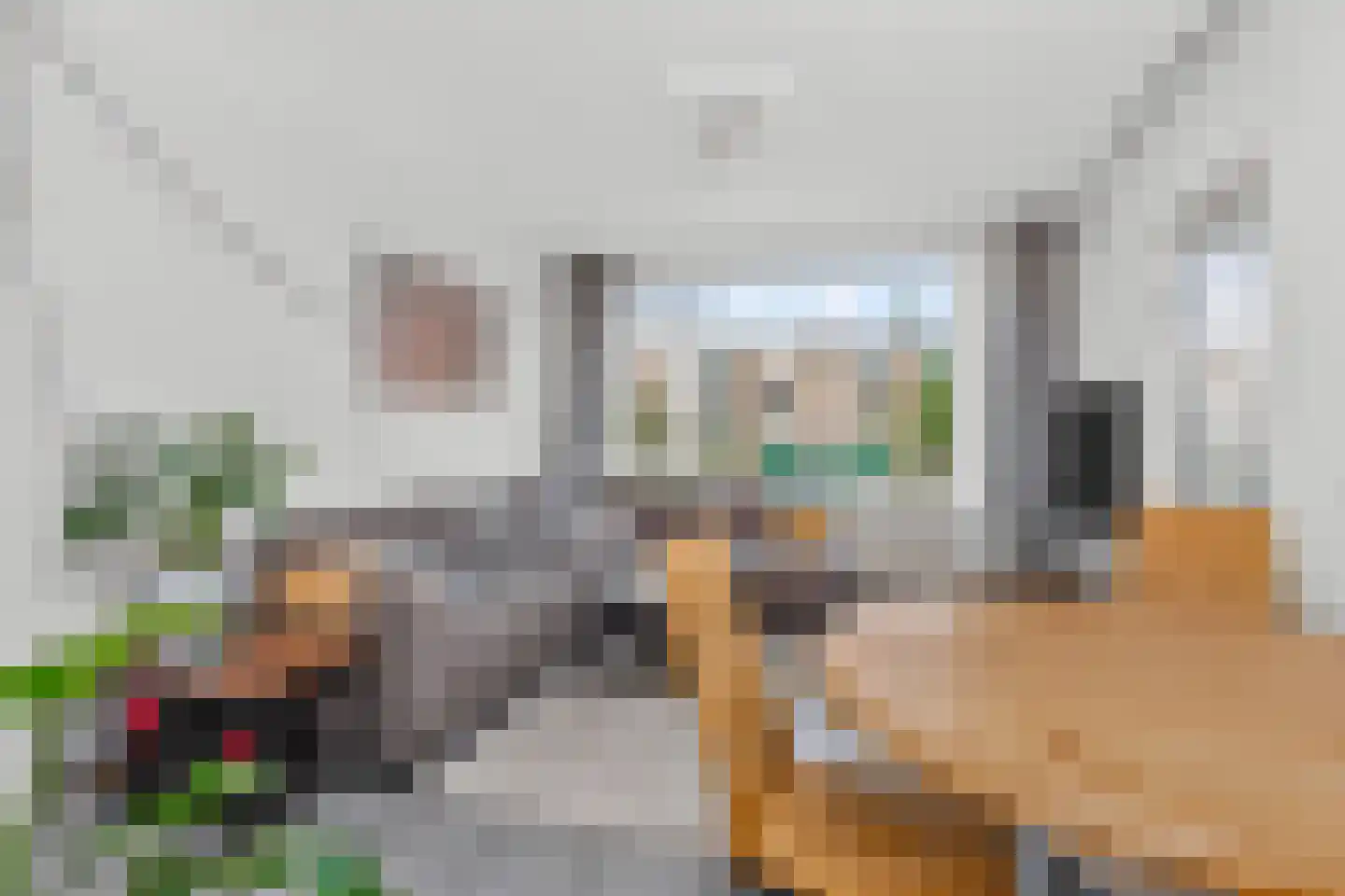 Smaragdhof 13 Utrecht thumbnail 7