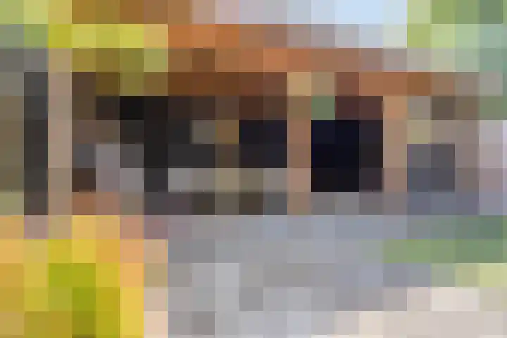 Smaragdhof 14 IJsselstein thumbnail 35