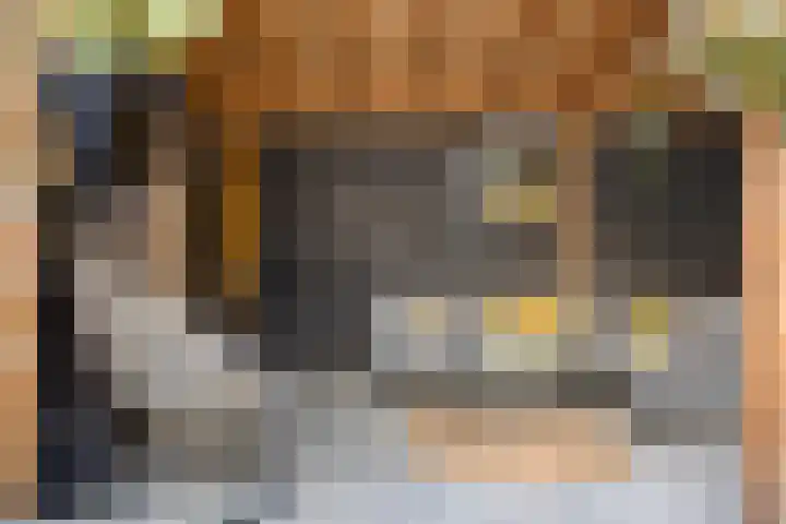Smaragdhof 14 IJsselstein thumbnail 36