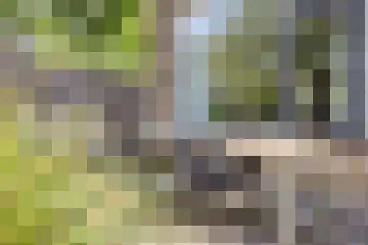 Smaragdhof 14 IJsselstein thumbnail 38