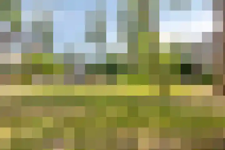 Smaragdhof 14 IJsselstein thumbnail 40