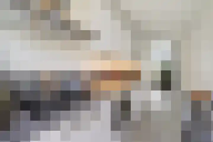 Smaragdhof 15 Utrecht thumbnail 14