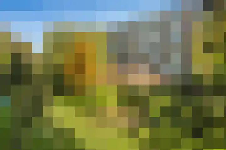 Smaragdhof 15 Utrecht thumbnail 18