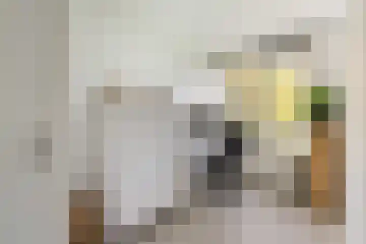 Smaragdhof 15 Utrecht thumbnail 22