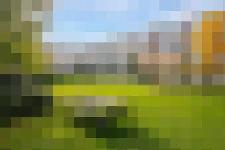 Smaragdhof 15 Utrecht thumbnail 28