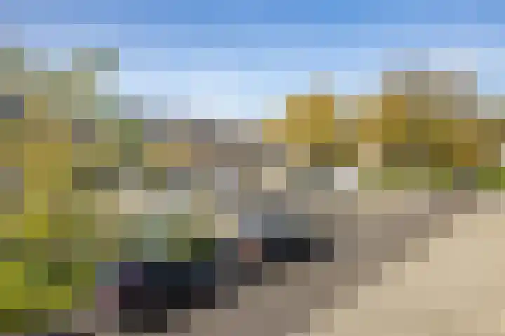 Smaragdhof 15 Utrecht thumbnail 31