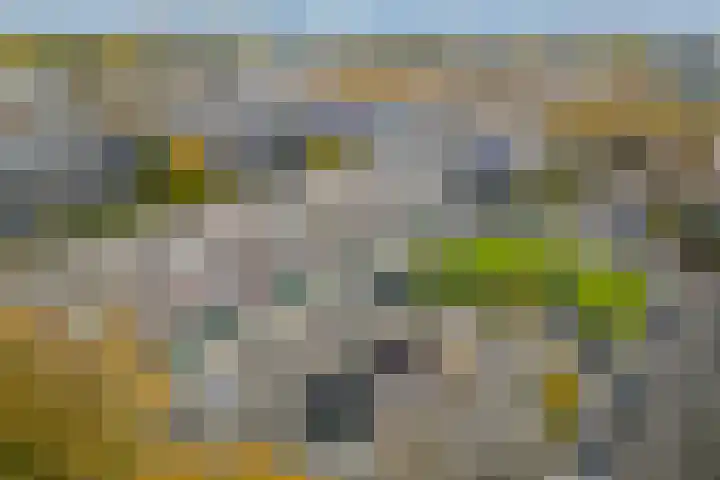 Smaragdhof 15 Utrecht thumbnail 35