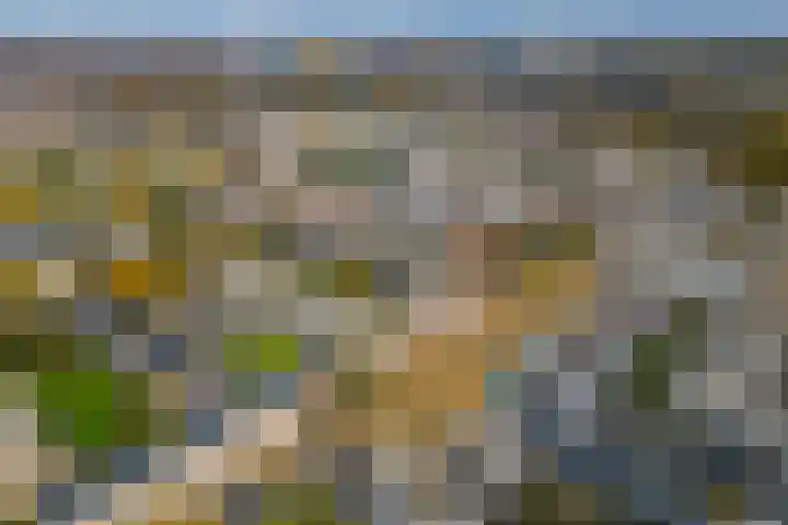 Smaragdhof 15 Utrecht thumbnail 36