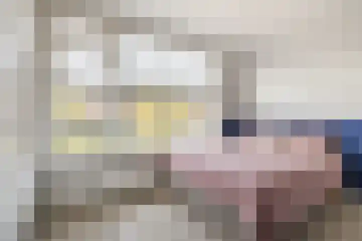 Smaragdhof 15 Utrecht thumbnail 4