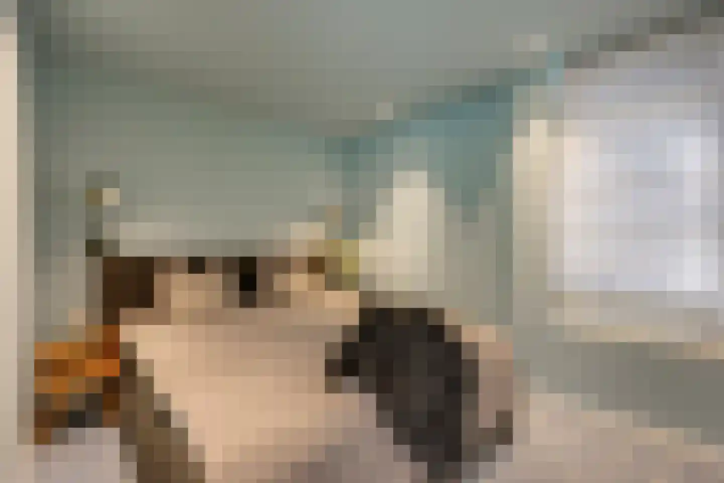 Smaragdhof 18 Utrecht thumbnail 30