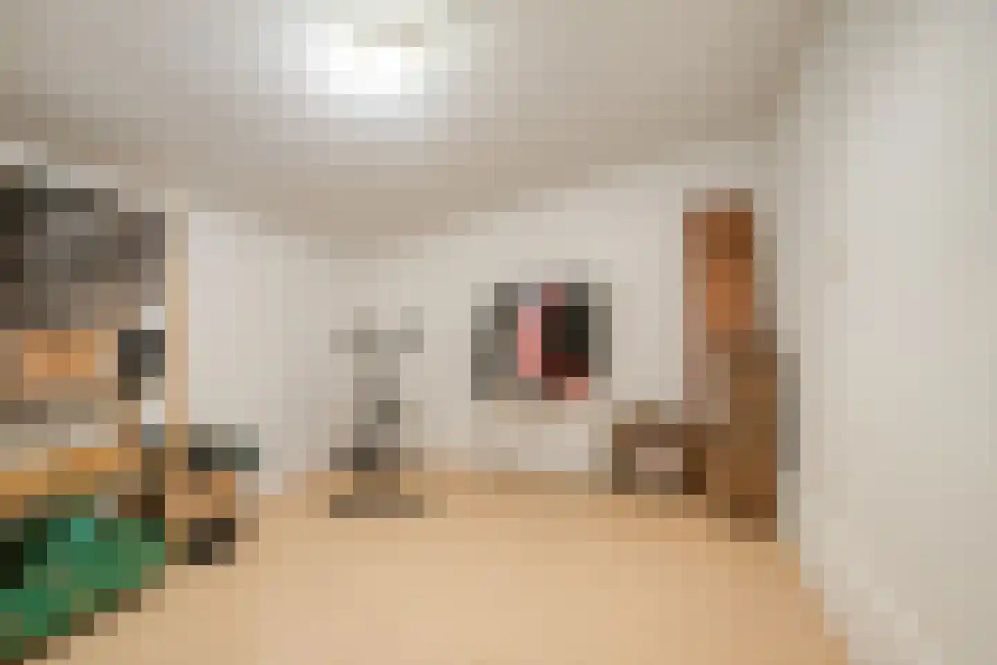 Smaragdhof 21 Almere thumbnail 32