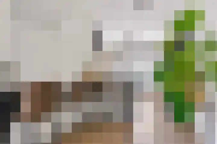 Smaragdhof 24 Almere thumbnail 16