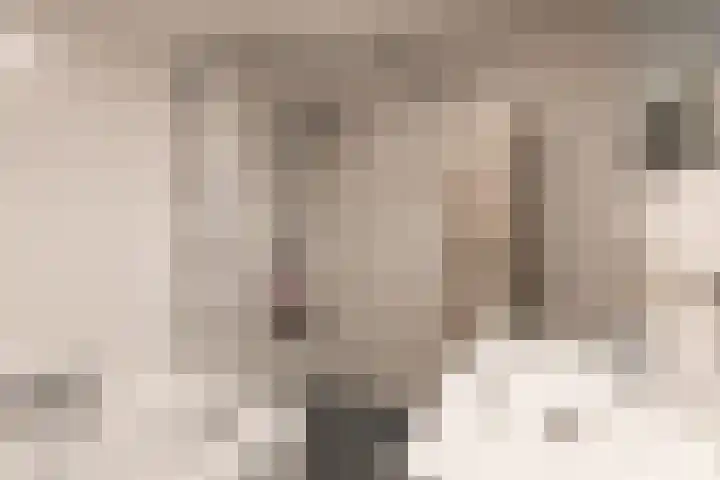 Smaragdhof 24 Almere thumbnail 29