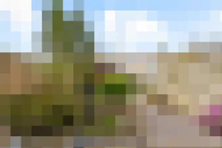 Smaragdhof 24 Almere thumbnail 33